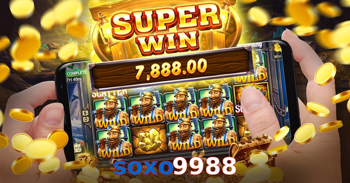soxo9988